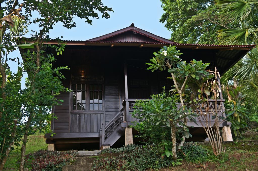 Happy Gecko Dive Resort Bunaken Rum bild