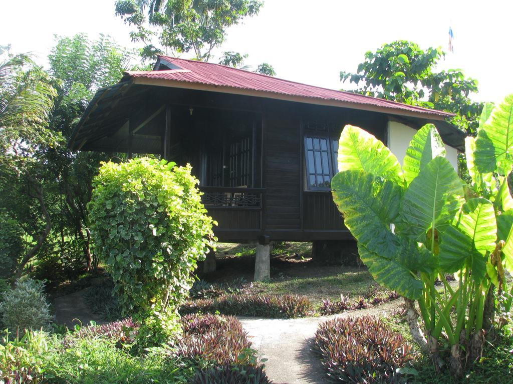 Happy Gecko Dive Resort Bunaken Rum bild
